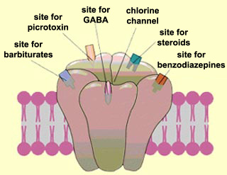 Haloperidol mode d'action