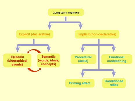 long term memory types